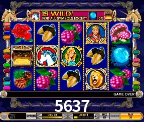 VIP Casino 5637